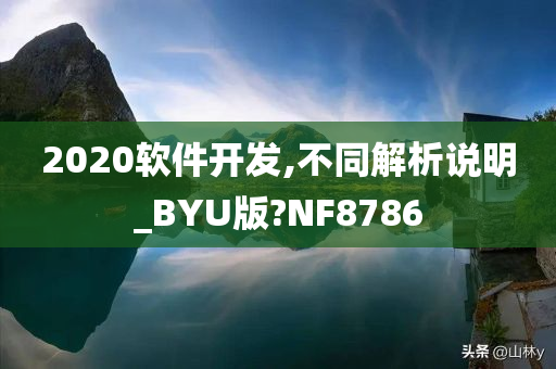 2020软件开发,不同解析说明_BYU版?NF8786