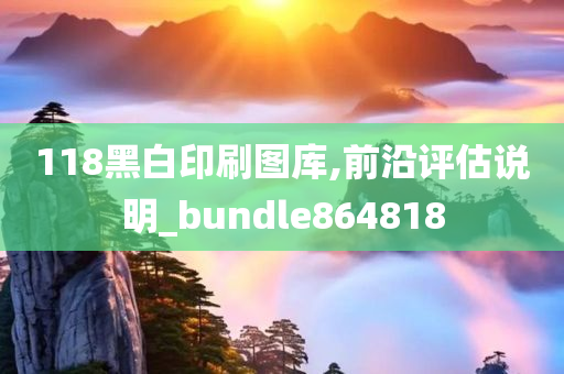 118黑白印刷图库,前沿评估说明_bundle864818