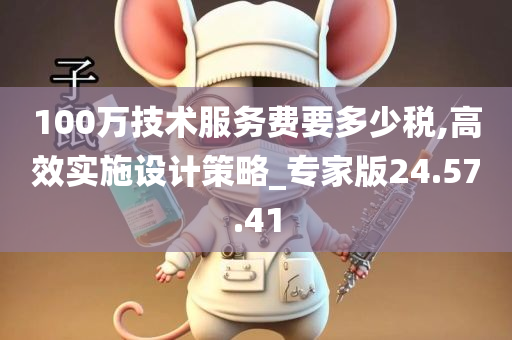 100万技术服务费要多少税,高效实施设计策略_专家版24.57.41