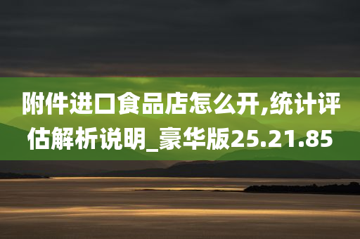 附件进口食品店怎么开,统计评估解析说明_豪华版25.21.85