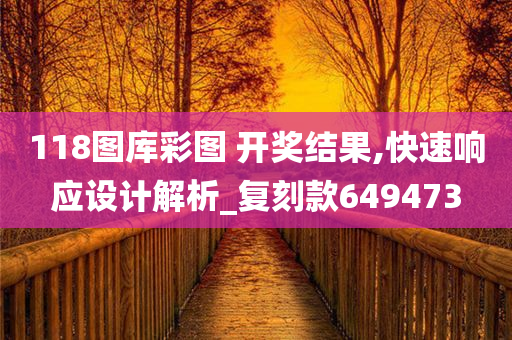 118图库彩图 开奖结果,快速响应设计解析_复刻款649473