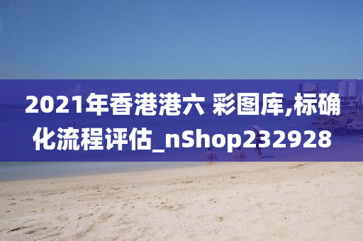 2021年香港港六 彩图库,标确化流程评估_nShop232928