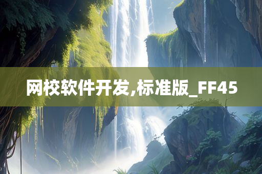 网校软件开发,标准版_FF45