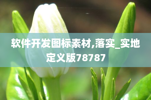 软件开发图标素材,落实_实地定义版78787