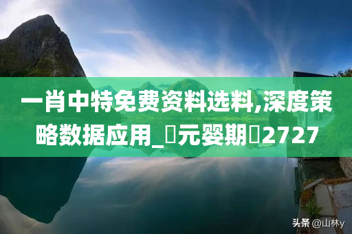 一肖中特免费资料选料,深度策略数据应用_‌元婴期‌2727