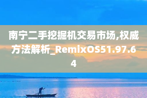 南宁二手挖掘机交易市场,权威方法解析_RemixOS51.97.64