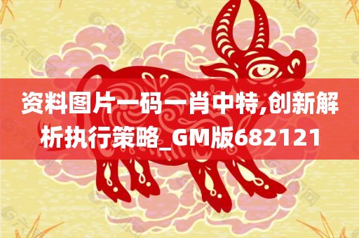 资料图片一码一肖中特,创新解析执行策略_GM版682121