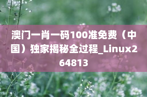 澳门一肖一码100准免费（中国）独家揭秘全过程_Linux264813