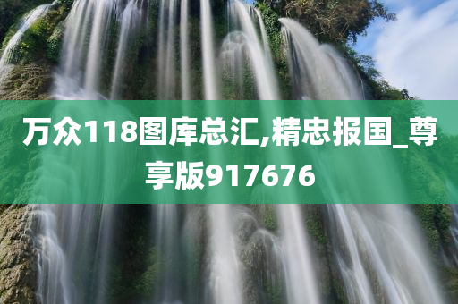 万众118图库总汇,精忠报国_尊享版917676