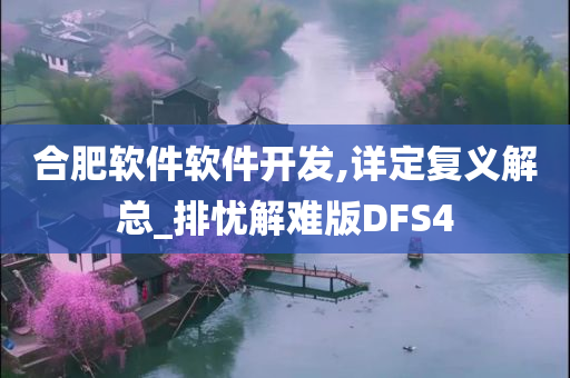 合肥软件软件开发,详定复义解总_排忧解难版DFS4