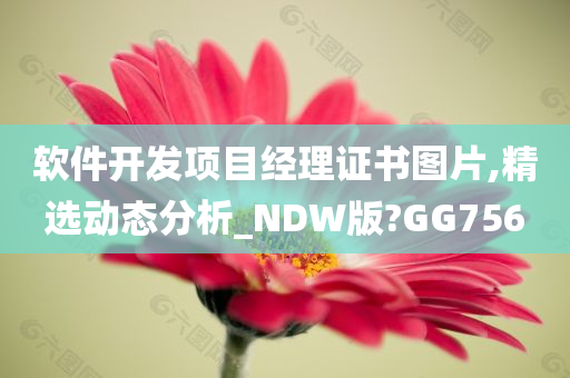 软件开发项目经理证书图片,精选动态分析_NDW版?GG756