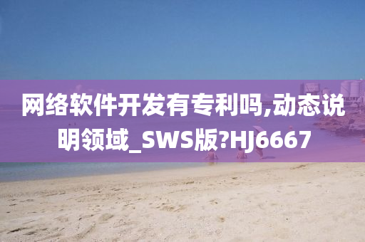 网络软件开发有专利吗,动态说明领域_SWS版?HJ6667