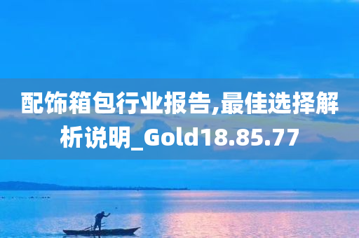 配饰箱包行业报告,最佳选择解析说明_Gold18.85.77