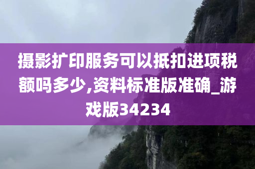 摄影扩印服务可以抵扣进项税额吗多少,资料标准版准确_游戏版34234