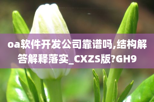 oa软件开发公司靠谱吗,结构解答解释落实_CXZS版?GH9