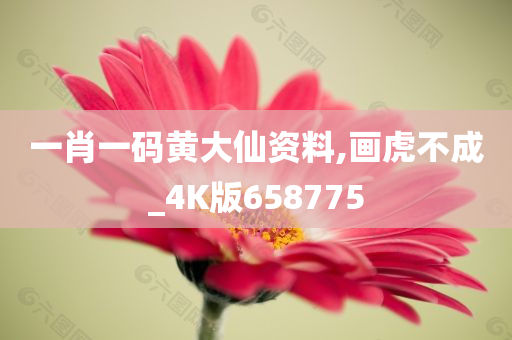 一肖一码黄大仙资料,画虎不成_4K版658775