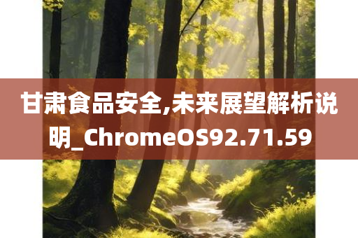 甘肃食品安全,未来展望解析说明_ChromeOS92.71.59