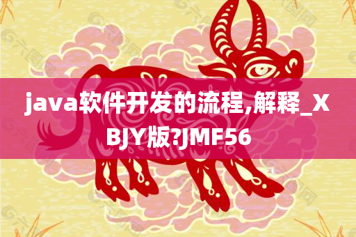 java软件开发的流程,解释_XBJY版?JMF56