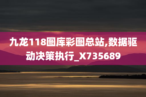 九龙118图库彩图总站,数据驱动决策执行_X735689