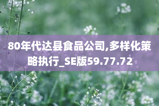 80年代达县食品公司,多样化策略执行_SE版59.77.72