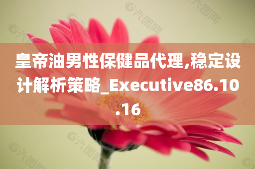 皇帝油男性保健品代理,稳定设计解析策略_Executive86.10.16