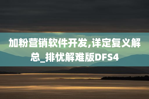 加粉营销软件开发,详定复义解总_排忧解难版DFS4