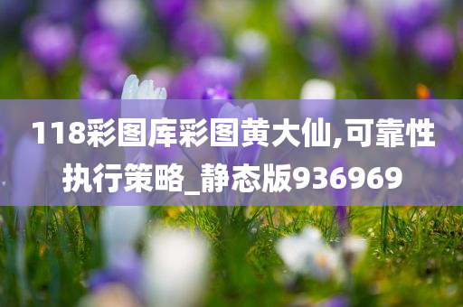 118彩图库彩图黄大仙,可靠性执行策略_静态版936969