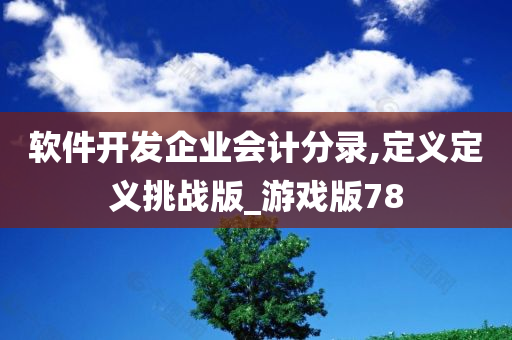 软件开发企业会计分录,定义定义挑战版_游戏版78