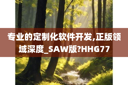 专业的定制化软件开发,正版领域深度_SAW版?HHG77