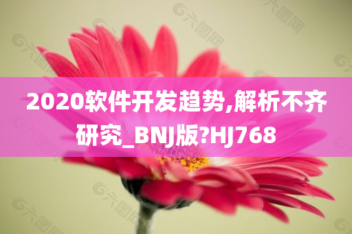 2020软件开发趋势,解析不齐研究_BNJ版?HJ768