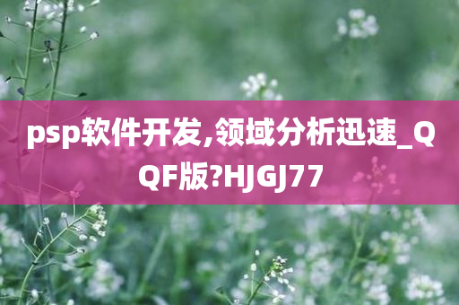 psp软件开发,领域分析迅速_QQF版?HJGJ77