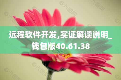 远程软件开发,实证解读说明_钱包版40.61.38