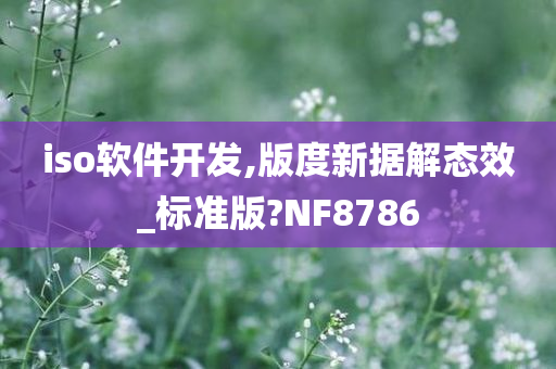 iso软件开发,版度新据解态效_标准版?NF8786