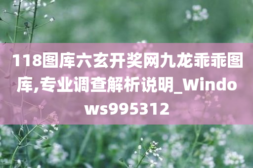 118图库六玄开奖网九龙乖乖图库,专业调查解析说明_Windows995312