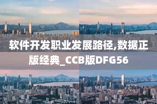 软件开发职业发展路径,数据正版经典_CCB版DFG56