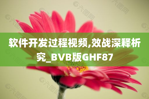 软件开发过程视频,效战深释析究_BVB版GHF87