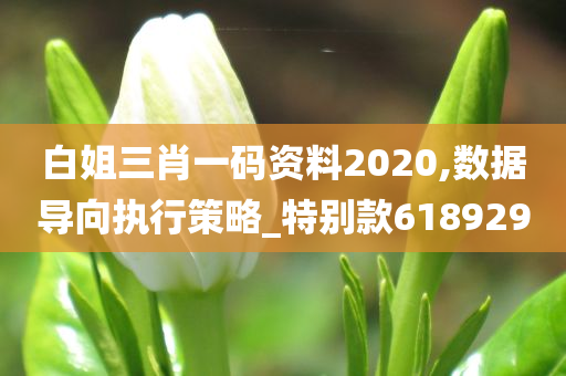 白姐三肖一码资料2020,数据导向执行策略_特别款618929