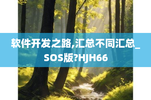 软件开发之路,汇总不同汇总_SOS版?HJH66