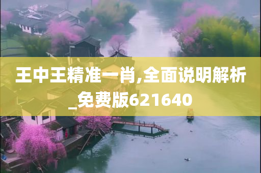 王中王精准一肖,全面说明解析_免费版621640