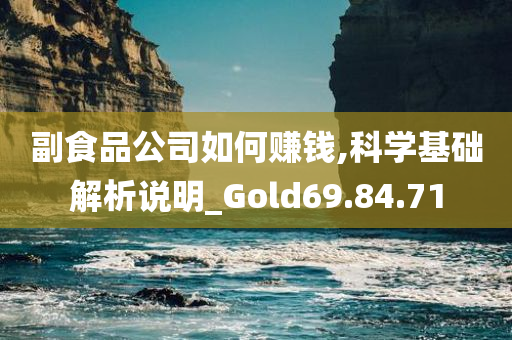 副食品公司如何赚钱,科学基础解析说明_Gold69.84.71