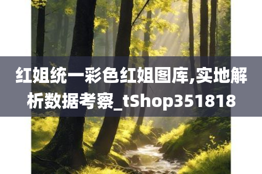 红姐统一彩色红姐图库,实地解析数据考察_tShop351818