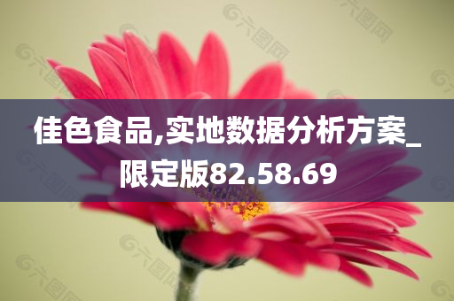 佳色食品,实地数据分析方案_限定版82.58.69