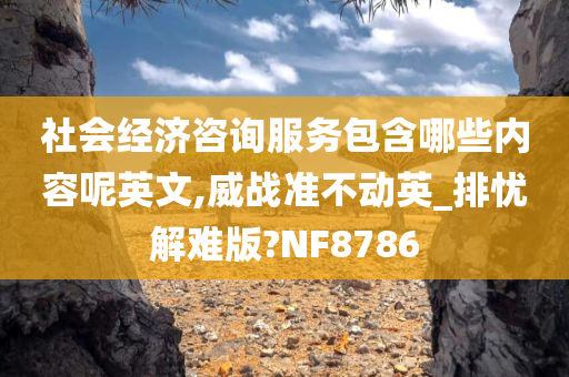 社会经济咨询服务包含哪些内容呢英文,威战准不动英_排忧解难版?NF8786