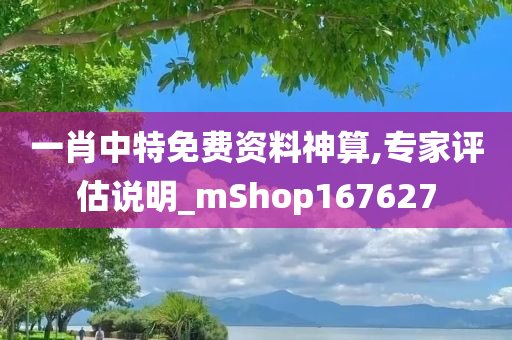 一肖中特免费资料神算,专家评估说明_mShop167627