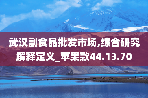 武汉副食品批发市场,综合研究解释定义_苹果款44.13.70