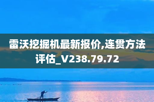 雷沃挖掘机最新报价,连贯方法评估_V238.79.72