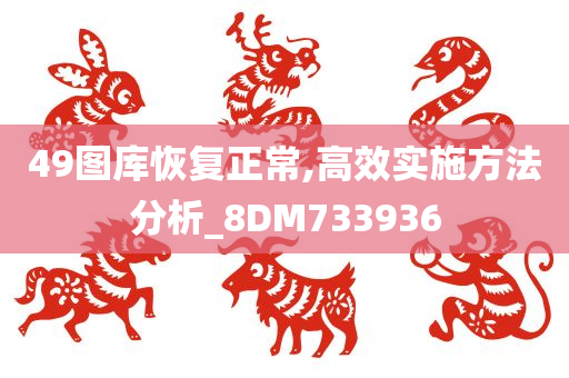 49图库恢复正常,高效实施方法分析_8DM733936