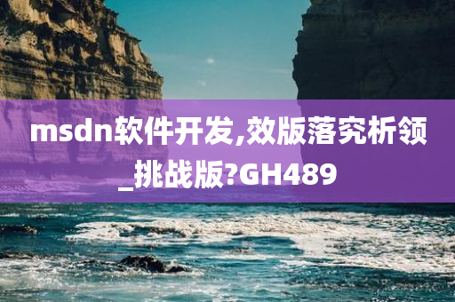 msdn软件开发,效版落究析领_挑战版?GH489