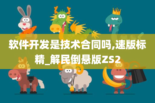 软件开发是技术合同吗,速版标精_解民倒悬版ZS2