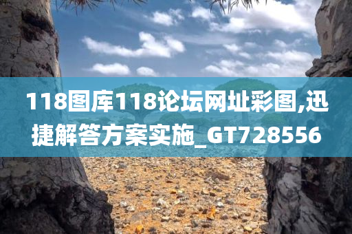 118图库118论坛网址彩图,迅捷解答方案实施_GT728556